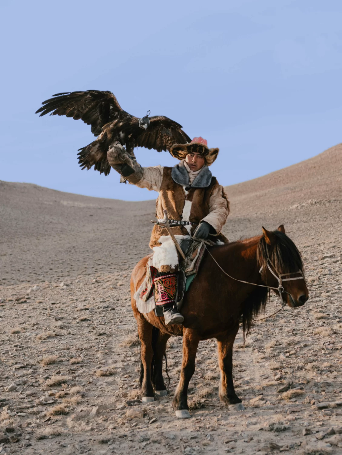 Путешествия без виз: родина манула и Великий шелковый путь — экзотическая Монголия