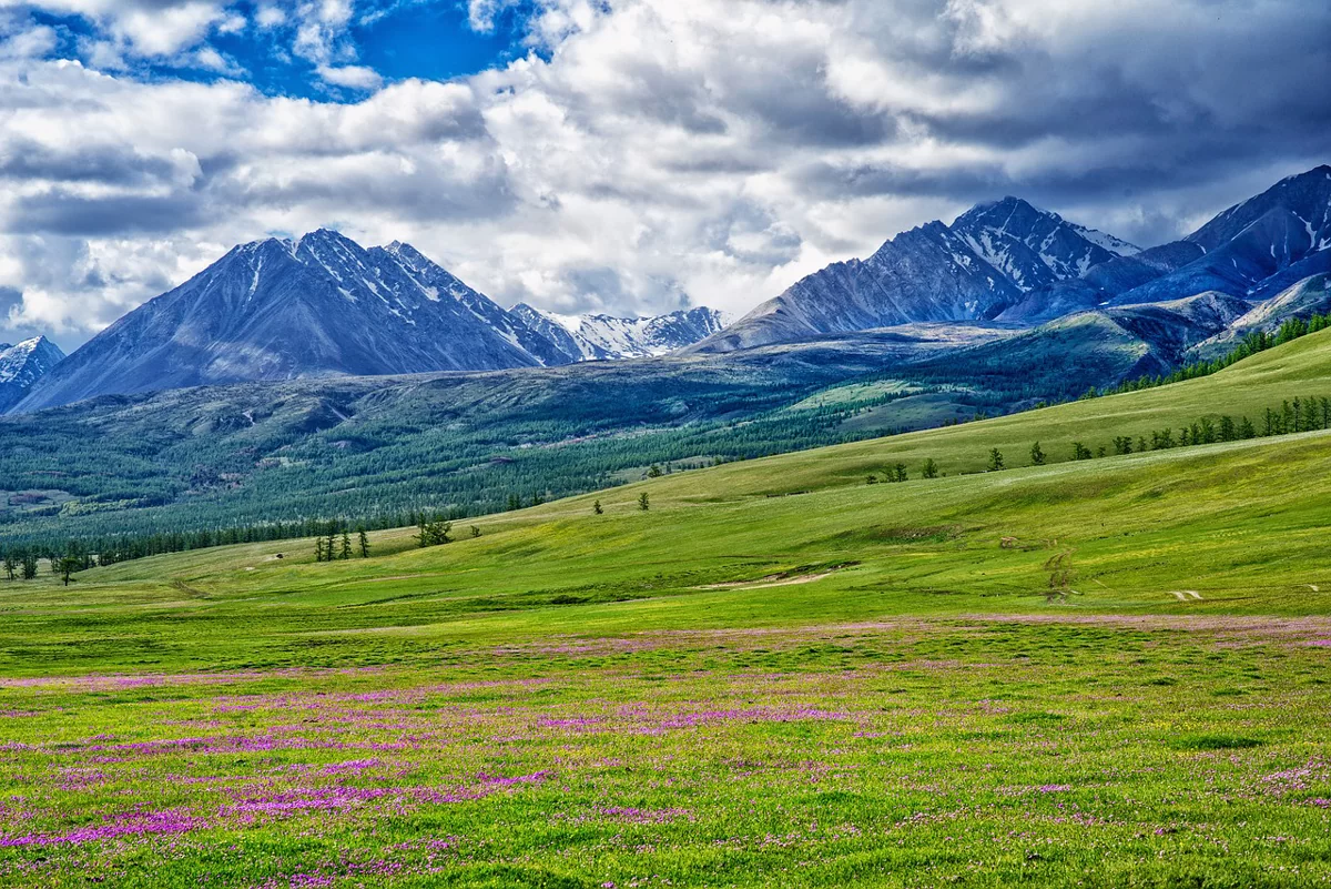 степь-весной-туризм-Монголия.png