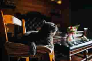 Фотограф Анна Евграфова