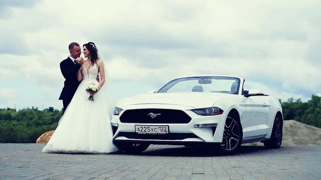 Алексей  Михайлов видеограф