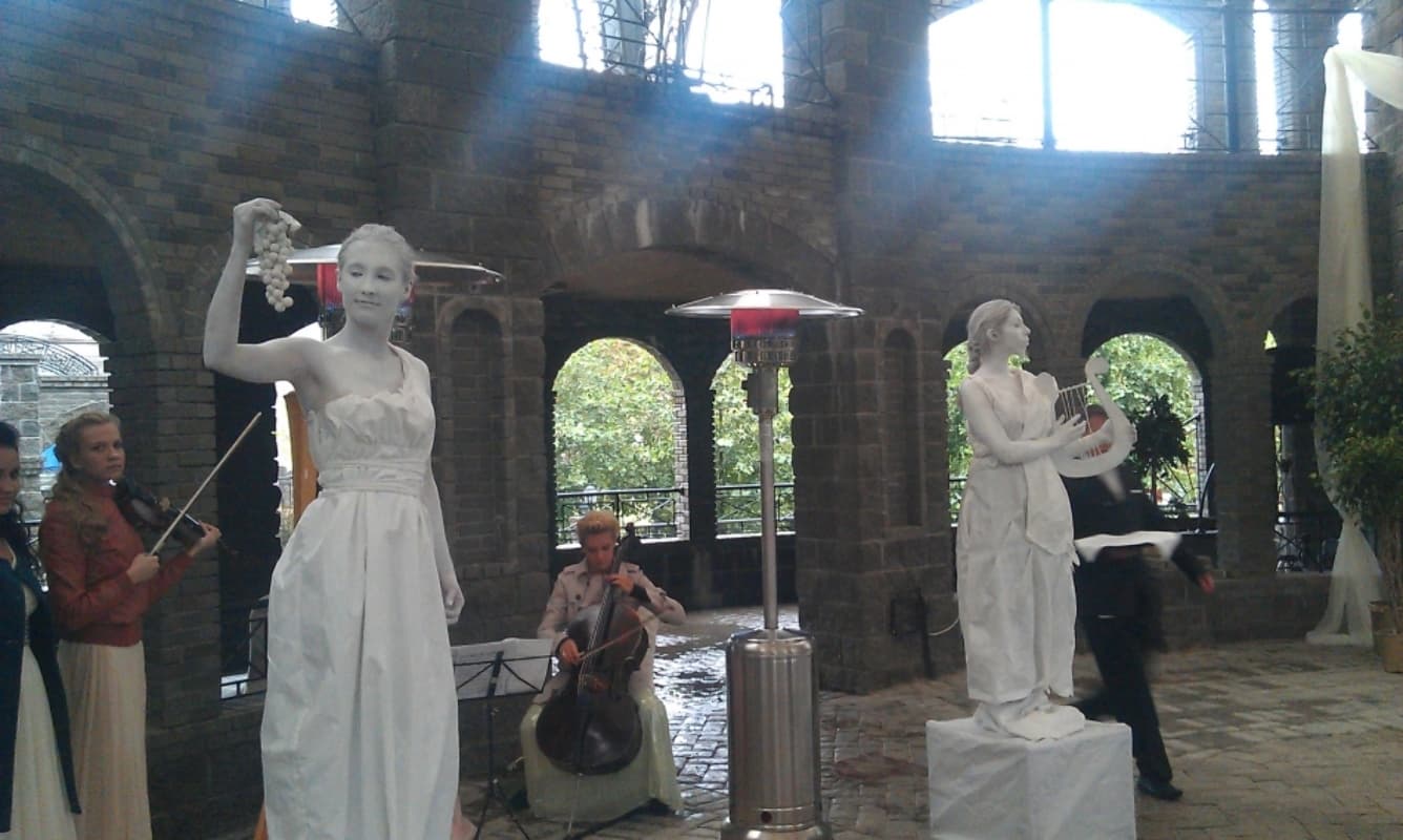 Огненно-световое-неоновое Шоу Aurum show