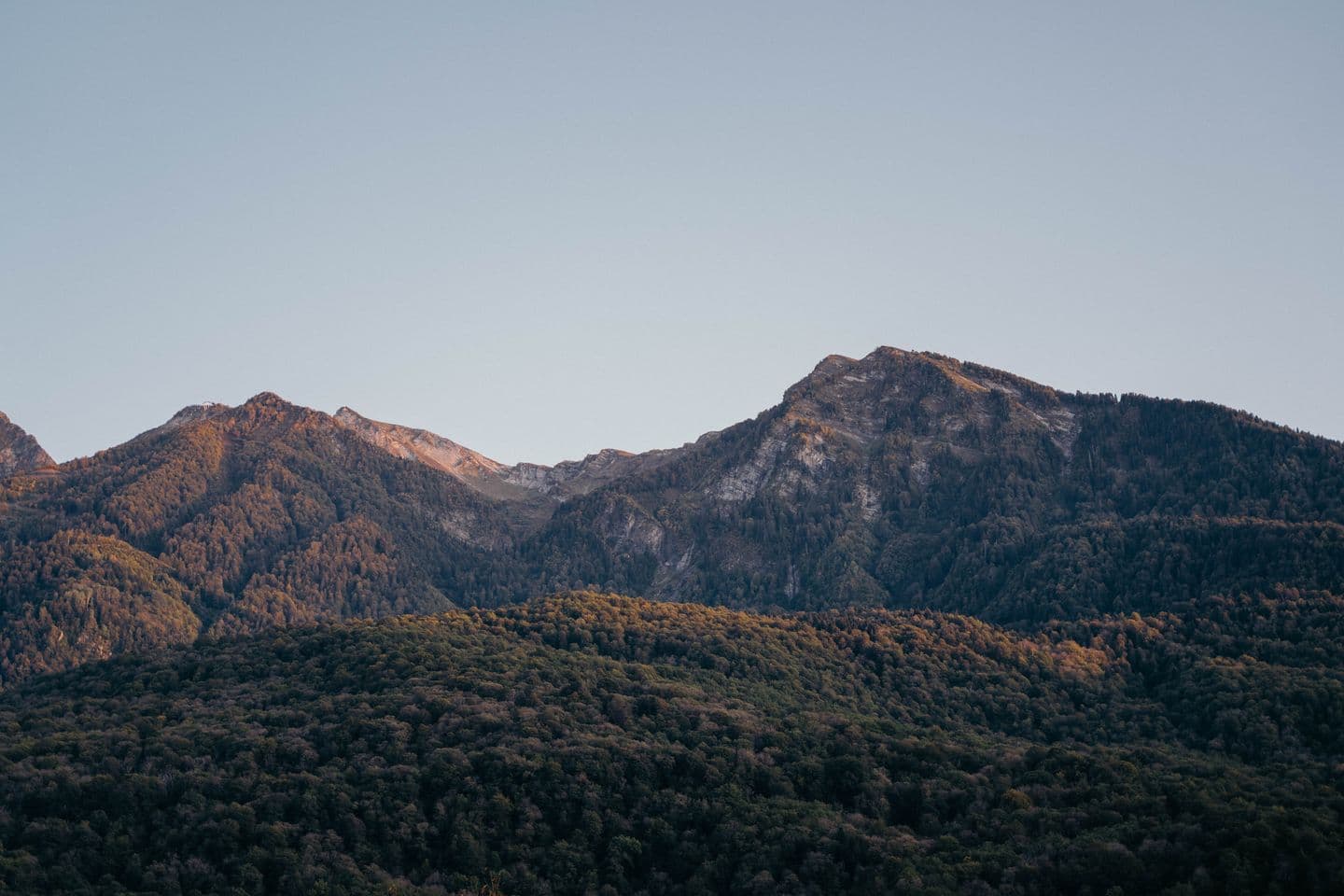 Санаторий "Беларусь" (Сочи)