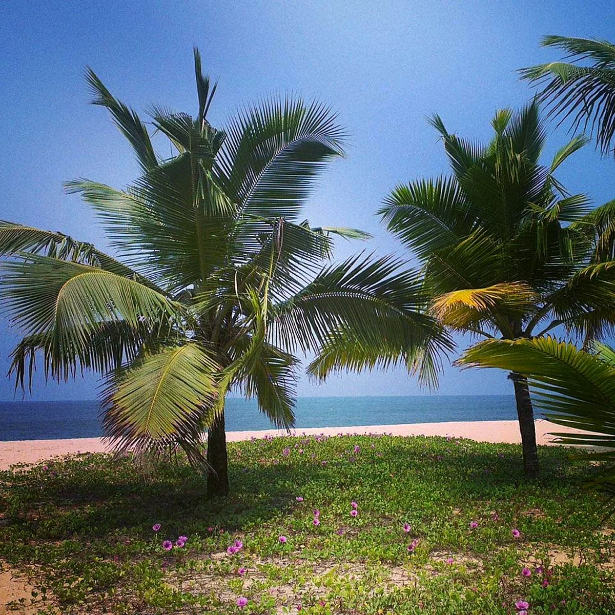 пляжи-Кералы_.jpg