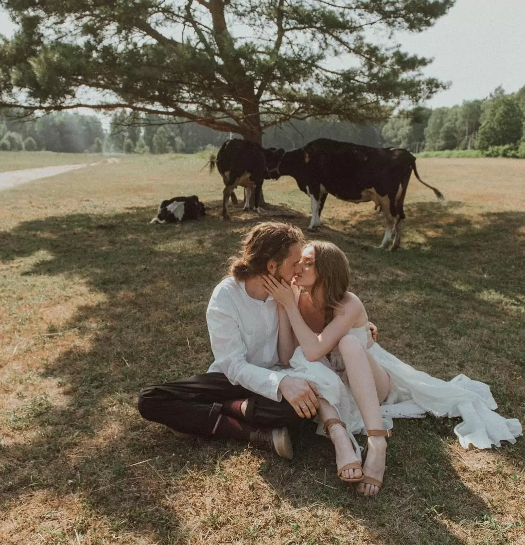 Фото. Жених и Невеста целуются на фоне пасущихся сзади коров. Фотограф Юлия Ралле