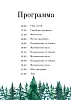 Программа с зимним еловым лесом