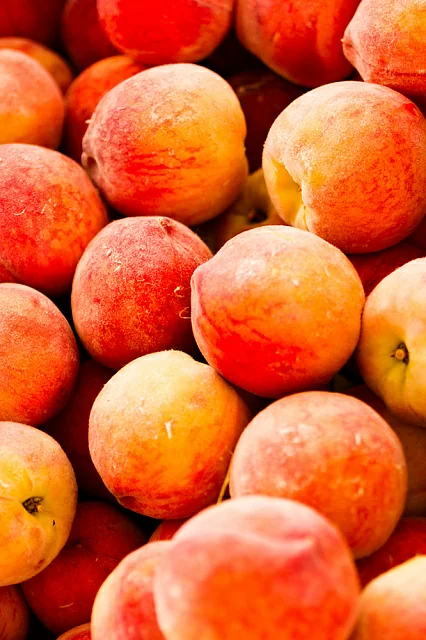 Открываем завесу: Apricot Crush — цвет 2024 года по версии Pantone