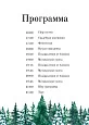 Программа с зимним еловым лесом